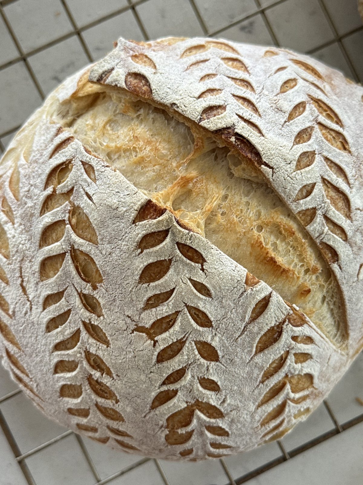 A round naturally fermented sourdough loaf with a deep golden, scored crust