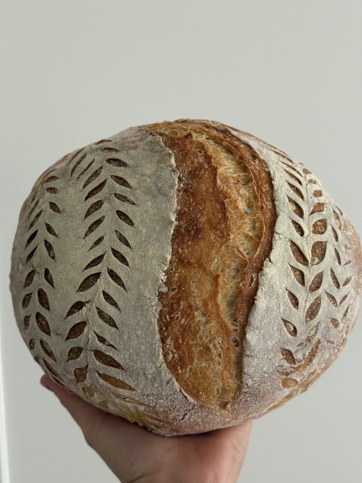 A freshly baked classic sourdough loaf resting on a wooden board