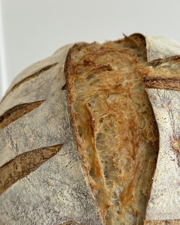 Classic Loaf 5